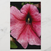 フローラ爆発 便箋 (正面)