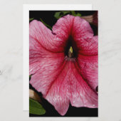 フローラ爆発 便箋 (正面/裏面)