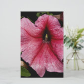 フローラ爆発 便箋 (スタンド正面)