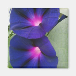 フローラ用冷蔵庫 マグネット