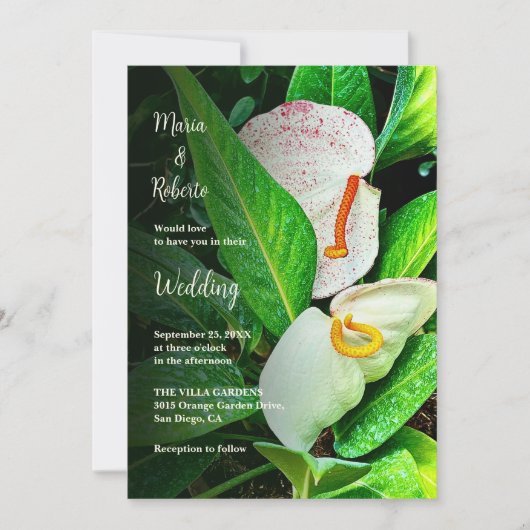 フローラ白カラユリ結婚メキシコ 招待状 (正面)