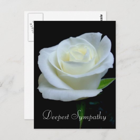 フローラ白黒ローズエスト悔やみや弔慰 ポストカード (正面/裏面)
