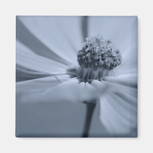 フローラ磁石 マグネット (正面)