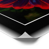 フローラ窓 ポスター (角)