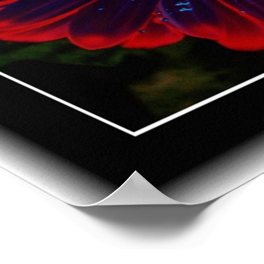 フローラ窓 ポスター (角)