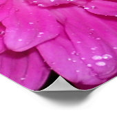 フローラ系：アシュテリア科 ポスター (角)