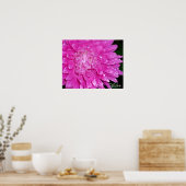 フローラ系：アシュテリア科 ポスター (キッチン)