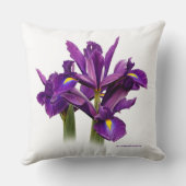 フローラ素晴らしオランダアイリスパープルセンセーション クッション (裏面)