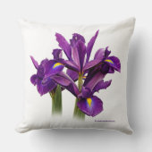 フローラ素晴らしオランダアイリスパープルセンセーション クッション (正面)