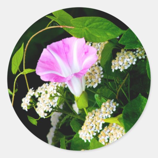 フローラ結婚の封筒用シールシール（大） ラウンドシール (正面)