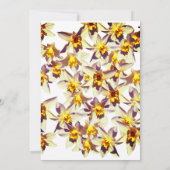 フローラ結婚ズカード、黄色の水仙 招待状 (裏面)