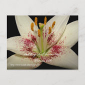 フローラ結婚式招待状白蓮 インビテーションポストカード (裏面)