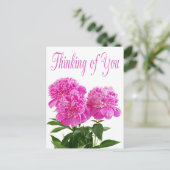 フローラ考えのピンク牡丹の花はがき ポストカード (スタンド正面)