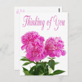 フローラ考えのピンク牡丹の花はがき ポストカード (正面/裏面)