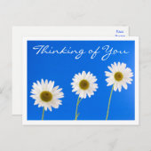 フローラ考えの白いデイジーの花 – Hello ポストカード (正面/裏面)