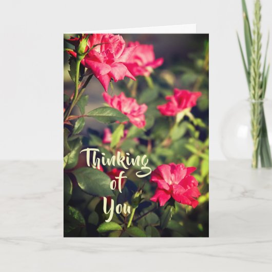 フローラ考えバラのユーザー カード (正面)