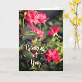 フローラ考えバラのユーザー カード (黄色い花)