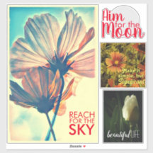 フローラ肯定4ピースコレクション