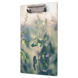 フローラ自然写真 クリップボード