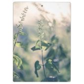 フローラ自然写真 クリップボード (裏面)