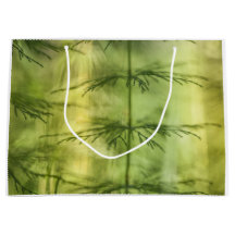 フローラ自然写真