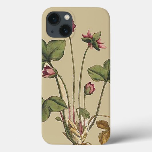 フローラ花植物園iPhone 6ケース Case-Mate iPhoneケース (裏面)