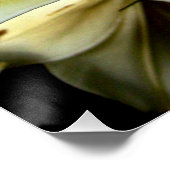 フローラ花20" x 20"ポスター紙（半光沢） ポスター (コーナー)