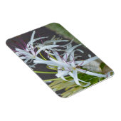 フローラ芳香磁石 マグネット (右側)