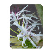 フローラ芳香磁石 マグネット (縦)