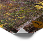 フローラ葉トレイルのポスターの上に貼る ポスター (角)