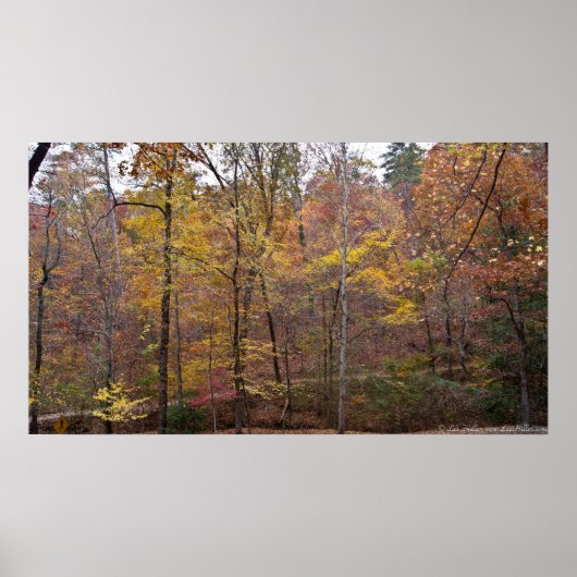 フローラ葉トレイルのポスターの上に貼る ポスター (正面)