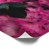 フローラ表面パターン – ファッション装飾抽象芸術 ポスター (コーナー)