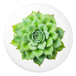 フローラ製つまみ セラミックノブ