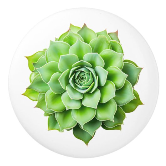 フローラ製つまみ セラミックノブ (正面)