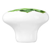 フローラ製つまみ セラミックノブ (側面)