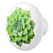 フローラ製つまみ セラミックノブ (右)