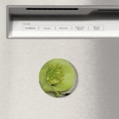 フローラ詳細 マグネット (インサイチュ (食洗機))