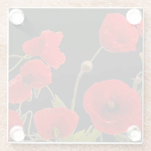 フローラ赤いポピーの花の黒い背景カラフル ガラスコースター (裏面)