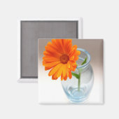 フローラ配置 マグネット (正面/裏面)