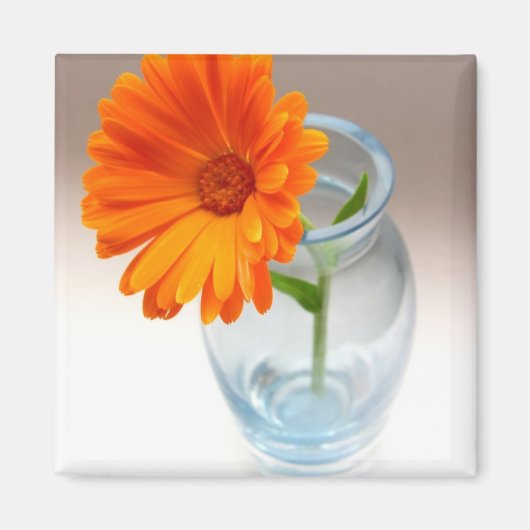 フローラ配置 マグネット (正面)