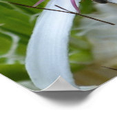 フローラ香りキャンバス印刷 ポスター (角)