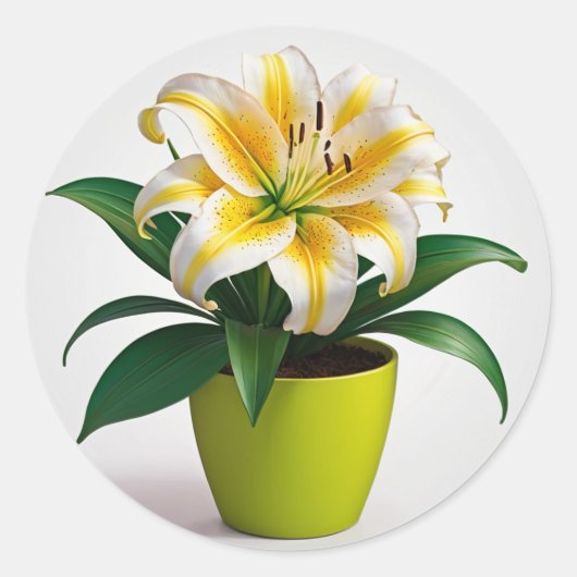 フローラ鮮やか植物芸術、《植物》百日草花 ラウンドシール (正面)