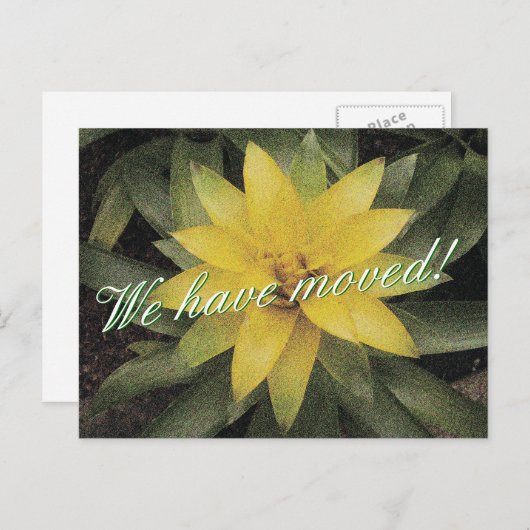 フローラ黄色い花を持つ移動はがき 案内ポストカード (正面/裏面)