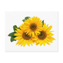 フローラ黄色ひまわり花 – こんにちは、愛