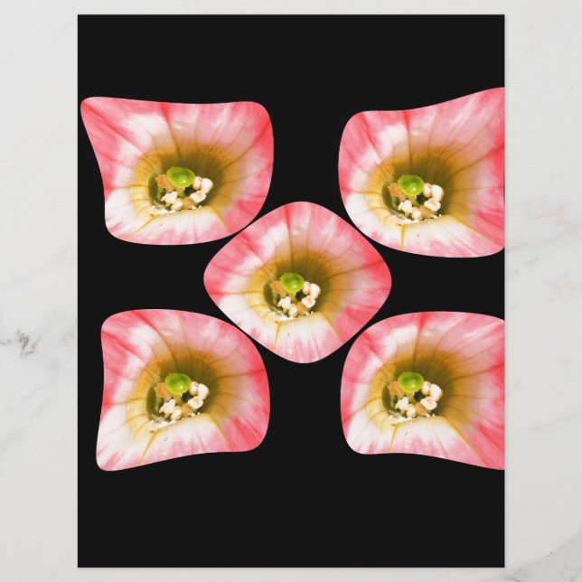 フローラ (正面)