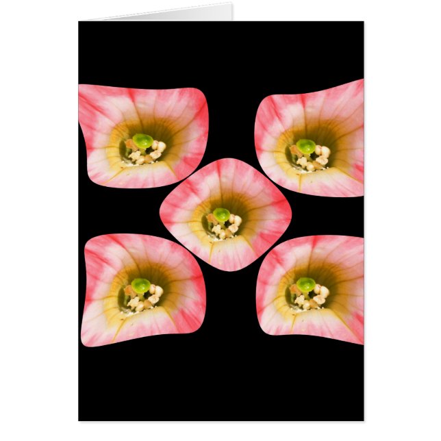 フローラ (正面)