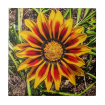 フローラ1タイル