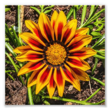 フローラ1枚のフォトプリント