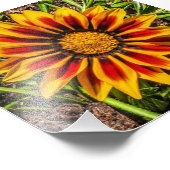 フローラ1枚のフォトプリント フォトプリント            (角)