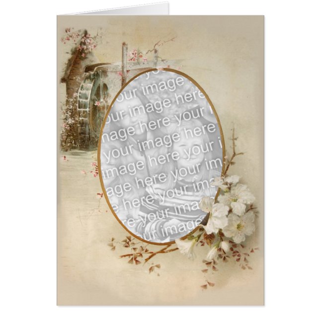 フローラ13 (正面)